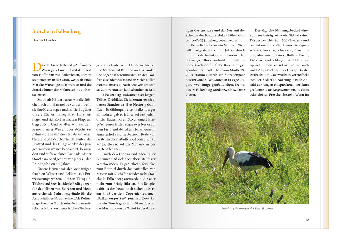 Shop_Slidebilder_HK2026-10